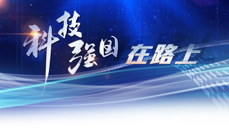 信息化建设选厂家的五大关键考量**